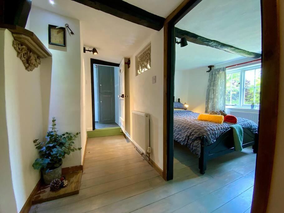 Beautiful 500 Year Old Listed Kentish Cottage Wingham Bagian luar foto